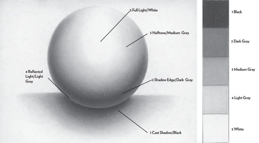 Năm yếu tố của bóng |  Khái niệm cơ bản về bút chì vẽ bằng than chì với Lee Hammond |  Mạng lưới nghệ sĩ