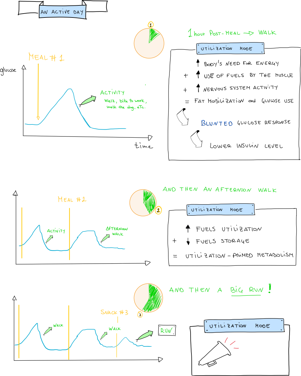 Metabolism on an active day