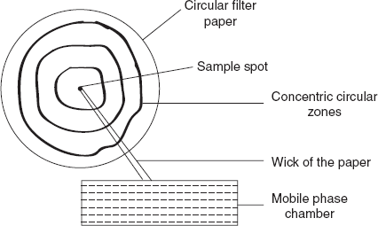 Radial chromatography development