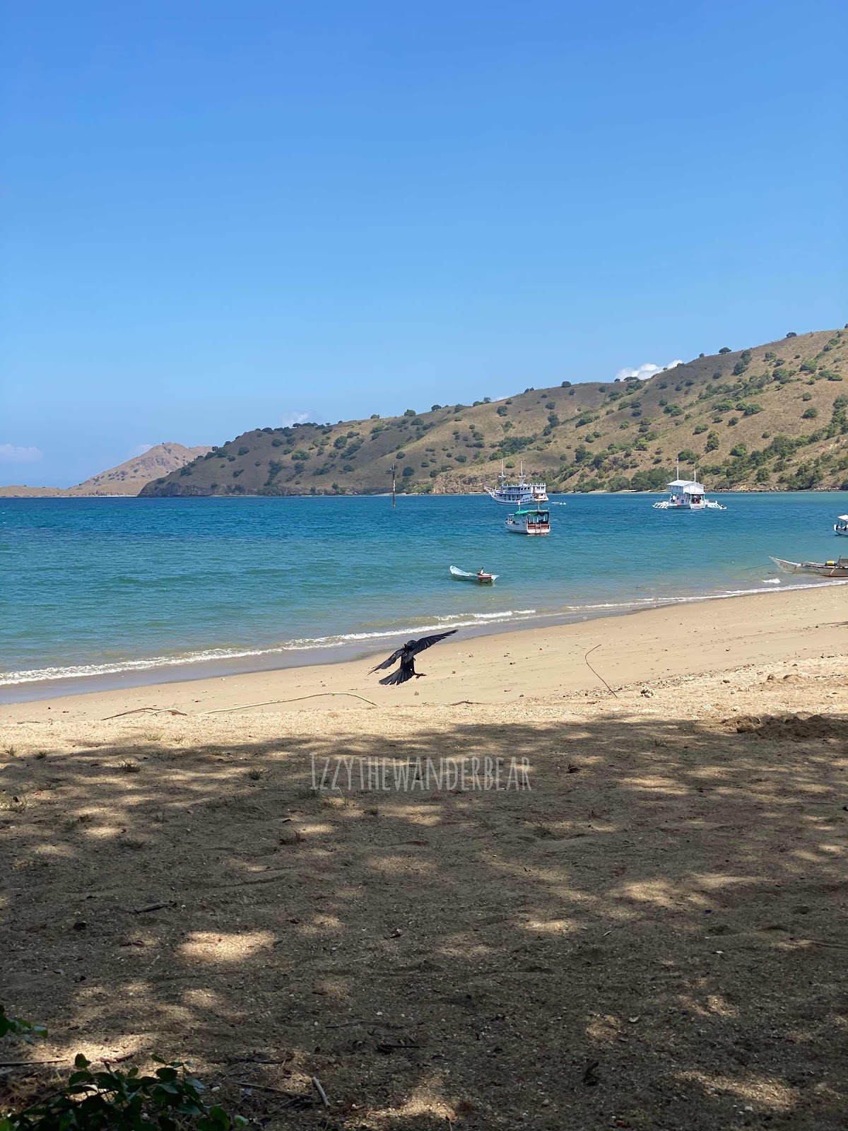 Komodo Island - Taman Nasional Komodo