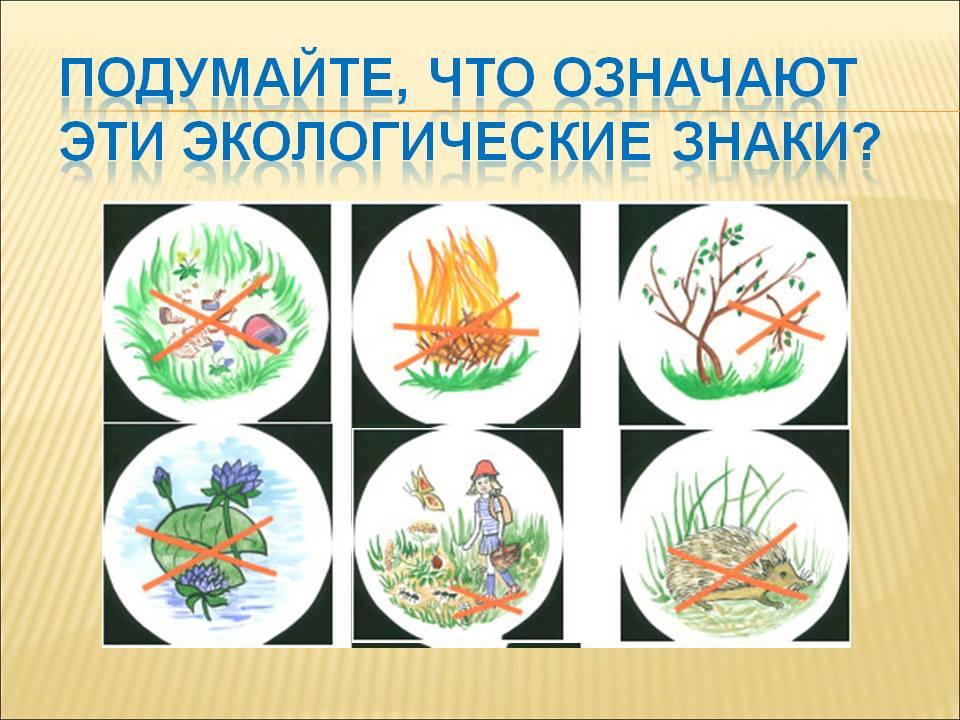 Как выглядит экологический знак