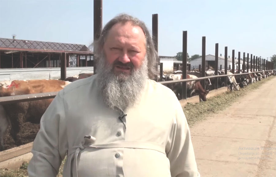 Митрополит Павло дає інтерв’ю журналістам поблизу корів, які утримуються на його фермі під Києвом