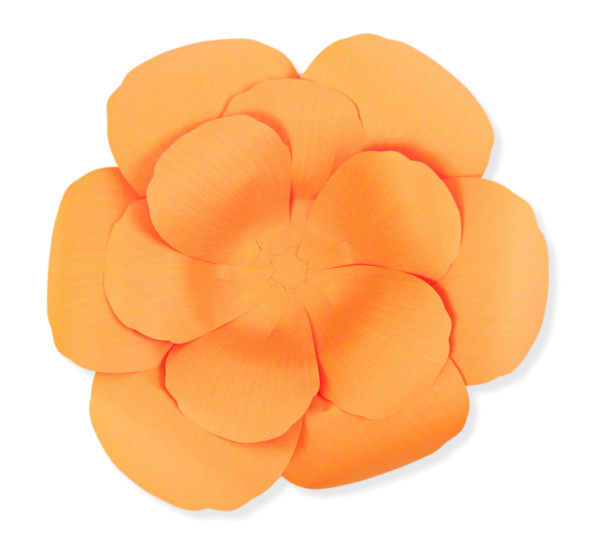 Two layers of orange hibiscus flower petals layered together to create a giant hibiscus paper flower bloom. The petals overlap and lay open like a real bloom. 