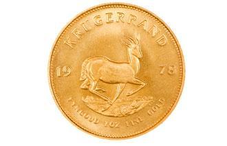 A gold coin with a horse on it

Description automatically generated with low confidence
