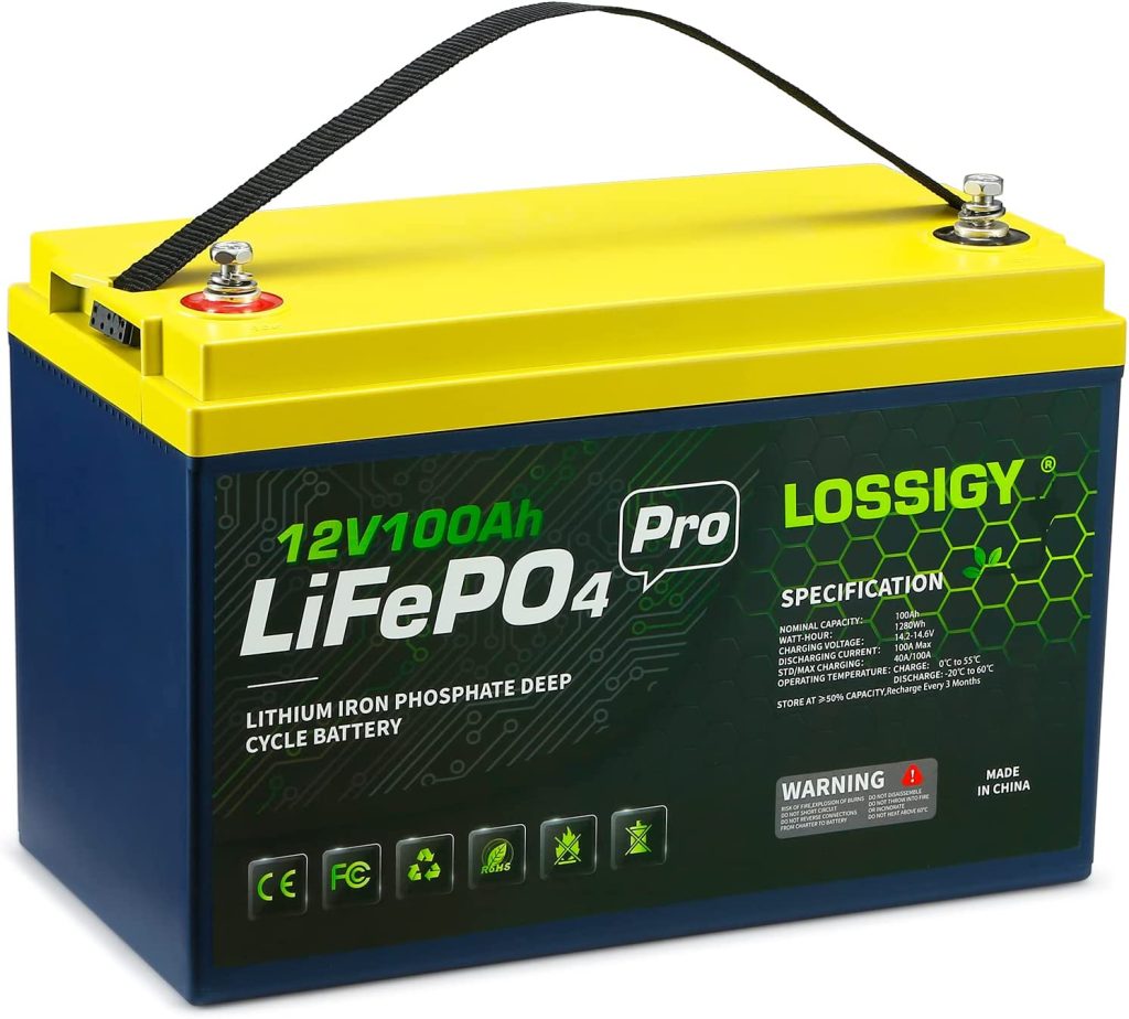 LOSSIGY 100Ah Battery