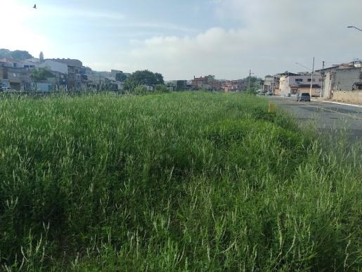 C:\Users\Vamp\Downloads\Riacho dos Machados\Pateo de obra abandonado - Mato alto Petrobras 3.jpg