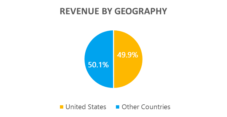 revenue by geography