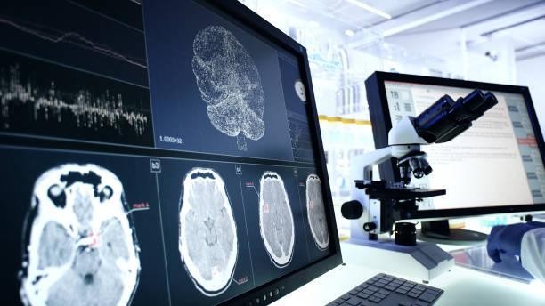 36,449 Brain Research Stock Photos, Pictures & Royalty-Free Images - iStock  | Heart and brain research, The brain research, Brain research lab
