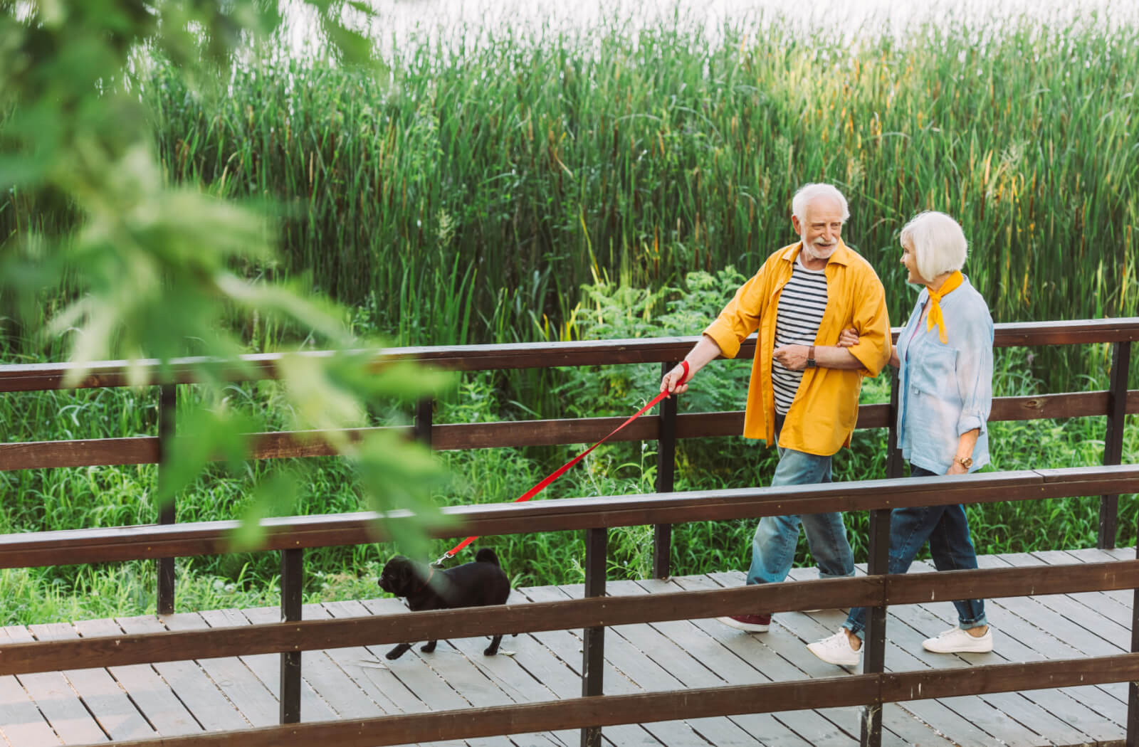 A senior woman and a senior man walking their dog in a park.