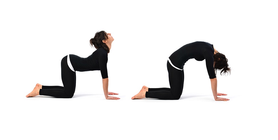 yoga for back problems- cat cow pose or    Chakravakasana 