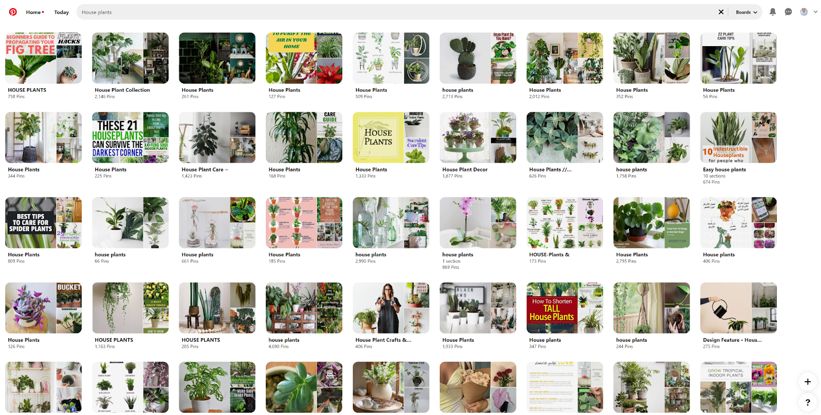 Pinterest Boards for house plants