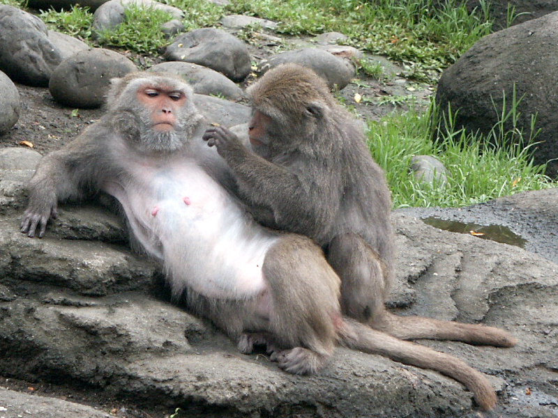 Taipei Zoo
