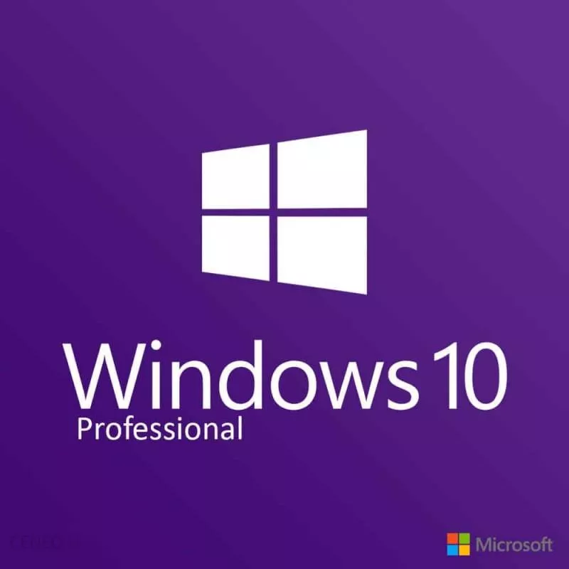 Windows 10 Professional logo