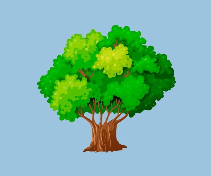 árvore frondosa