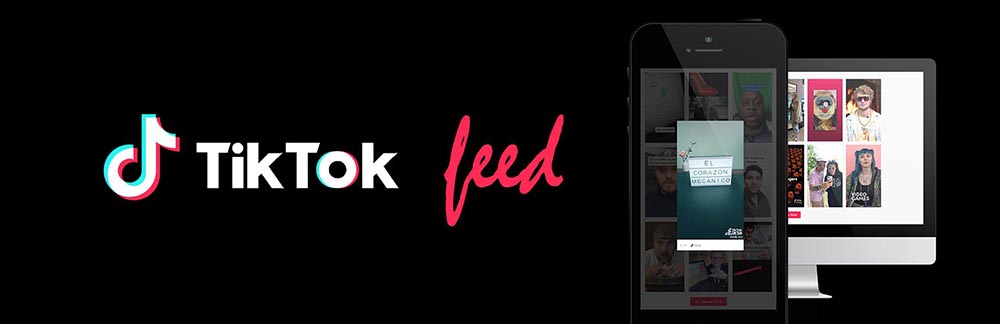 Plug-in gratuito de feed do TikTok