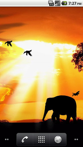 Download African Sunset Live Wallpaper apk