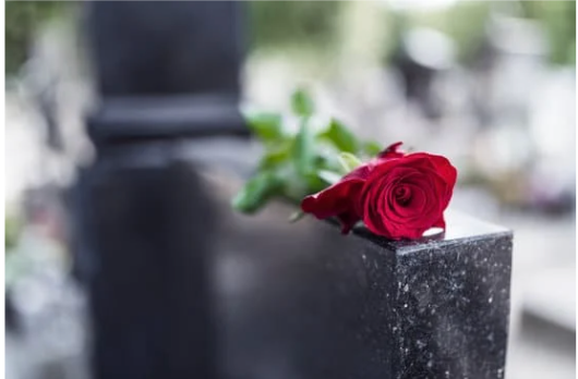 red rose on a gravesite
