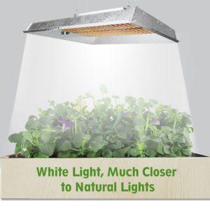 https://mars-hydro.com.ua/wp-content/uploads/2019/06/Mars_Hydro_TS_white_color_natural_light-300x300.jpg