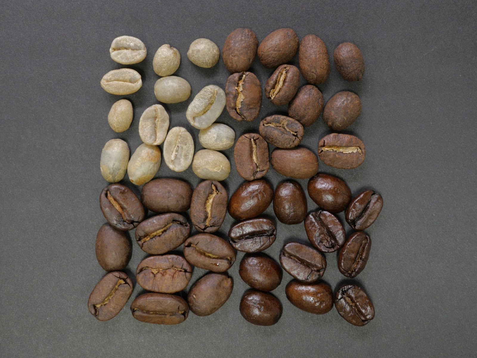 Types of Coffee Beans