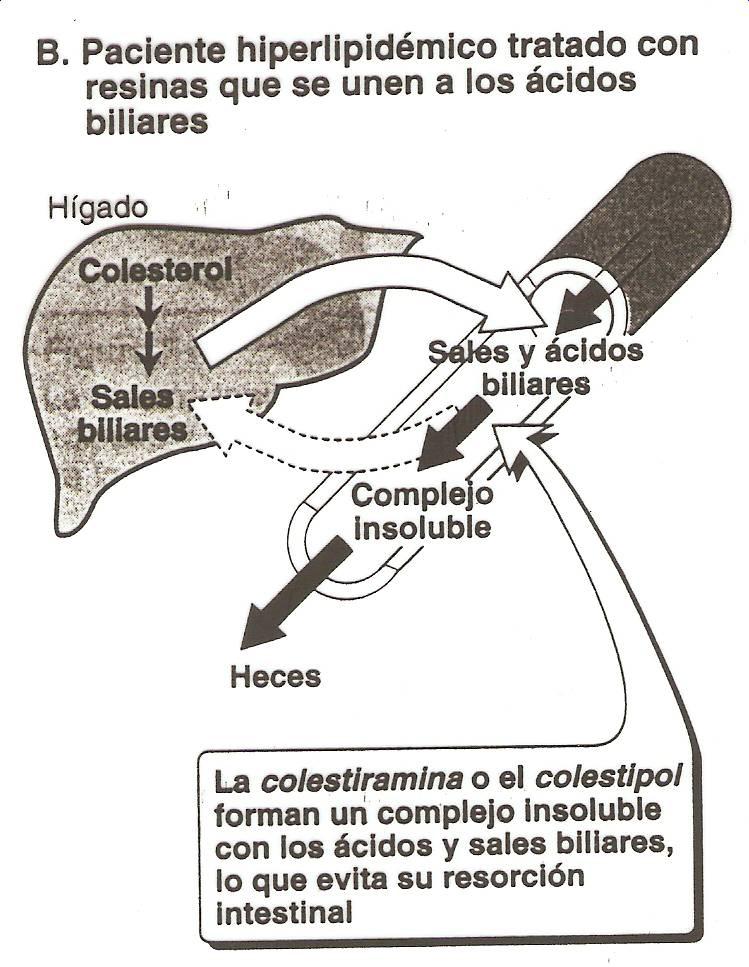 21D34CAA