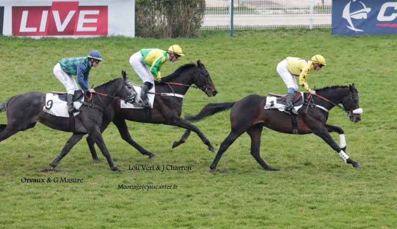 Photos Auteuil 14-03-2015 2eP6gIizcjzo9XGra70fc7W4h_BCopWwA2IaZ1i1cvSs=w800-h462-no