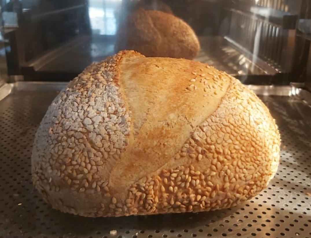 pão no forno terminando de dourar no teste da farinha anaconda