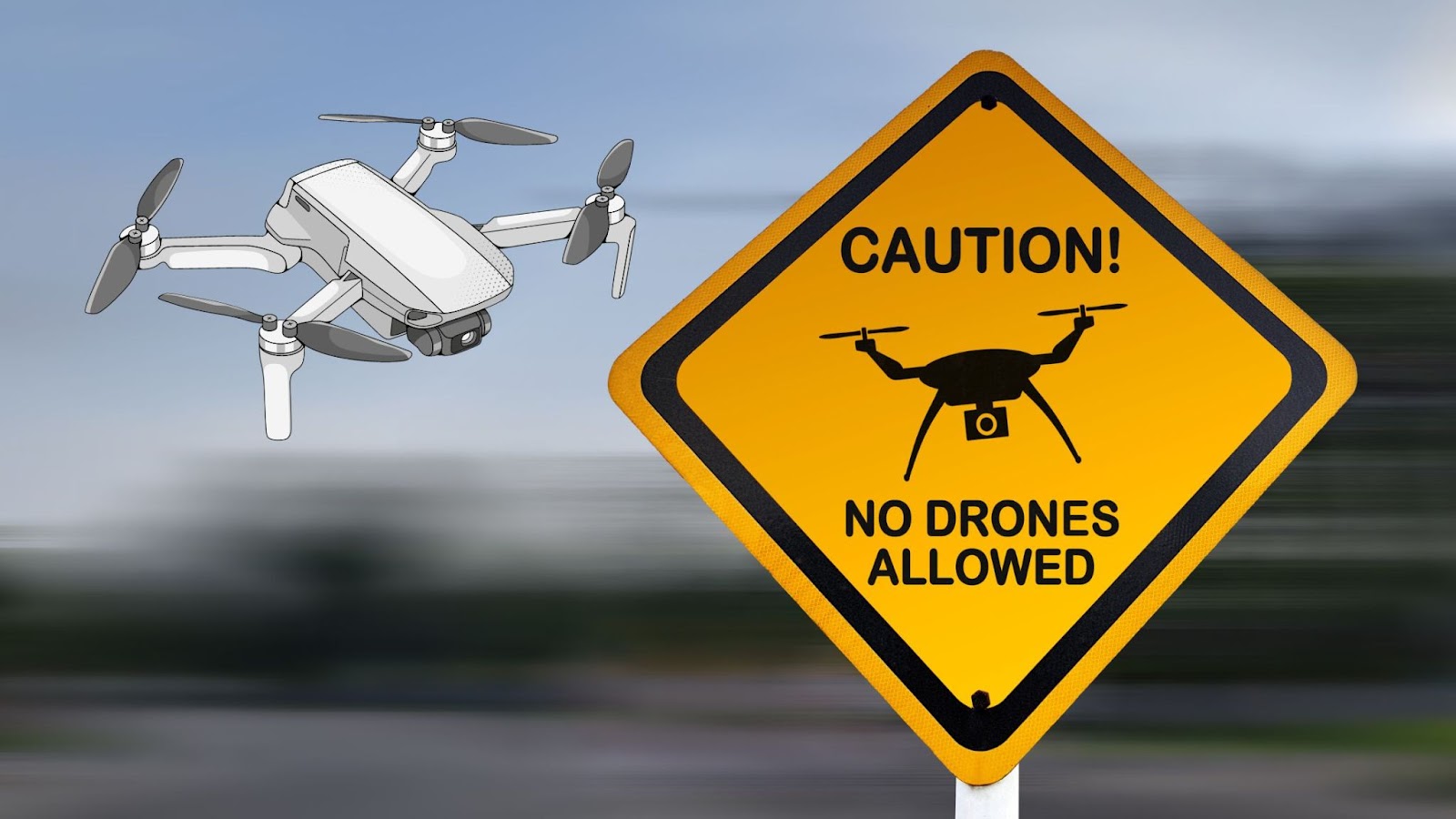 stop drones from flying over your house