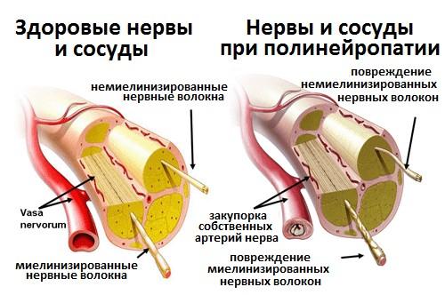 2kFQYUeo7xI5hQubsq6oK6Vfg-ru1AjUupR-Ompx-MoL2htg4P3lm0_GPF2wCMeKoxKylPI5e1i_l2e6vSZk1J6FU4DaBg5gQ2Mwr3MWTxYlekiCygVJWj9viccKE7wtdYGjTzdkarcIWpboJg=s0