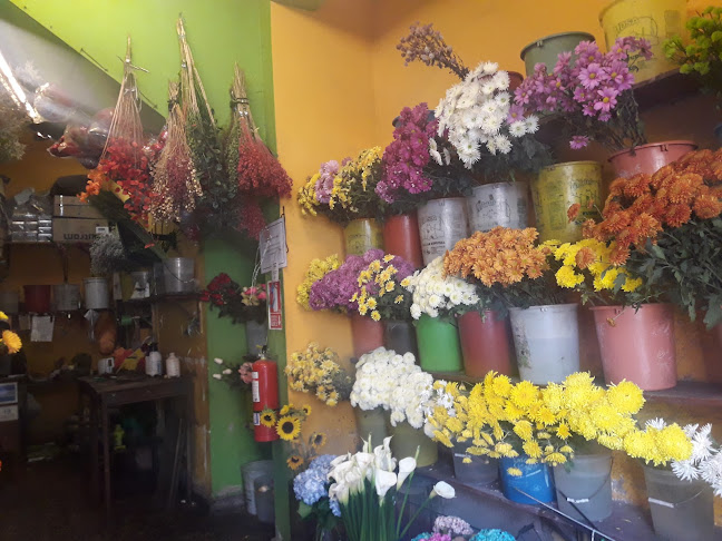 Opiniones de Floreria Jardin Primavera E.I.R.L en Santiago de Surco - Floristería