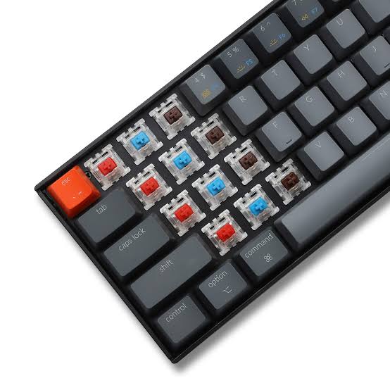 Choosing a keyboard that is compatible with common and popular switch types makes customization much easier. 
