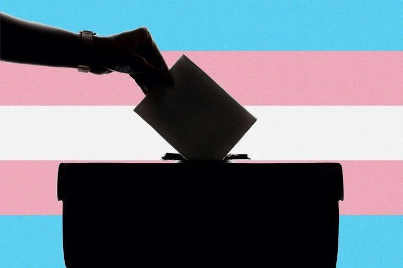 El suplicio de votar para las personas trans | Blogs El Tiempo