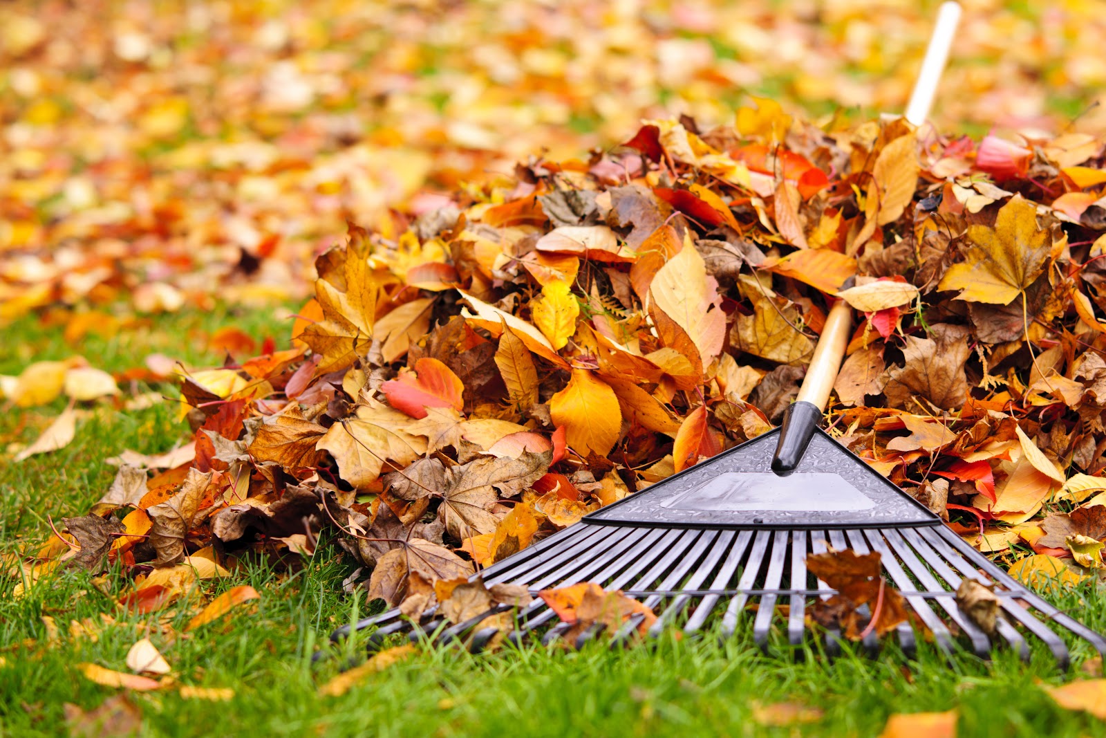  Fall Home Maintenance Checklist