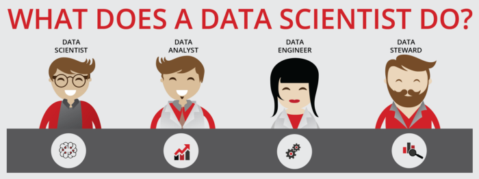 What does a Data Scientist Do ?