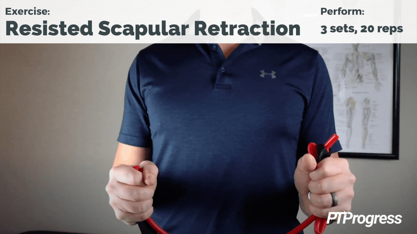 resisted scapular retraction