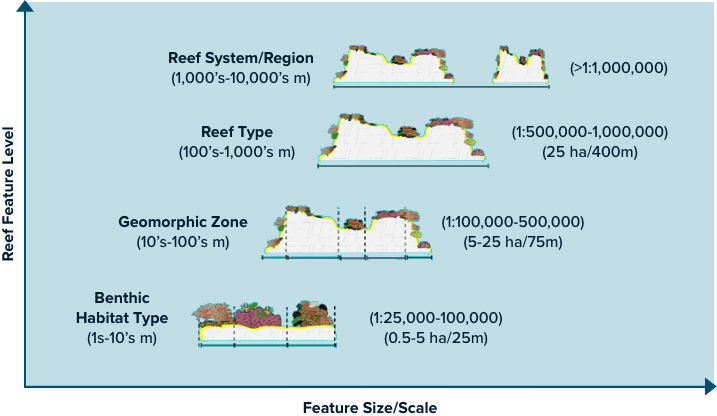 http://allencoralatlas.org/_next/static/images/diagram-UQ1-92b0ef41dfb5f9d84f8050e47fa7e516.png