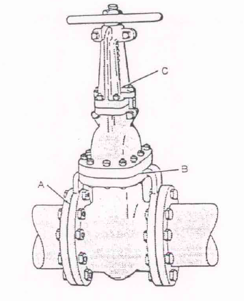 Stem Designs