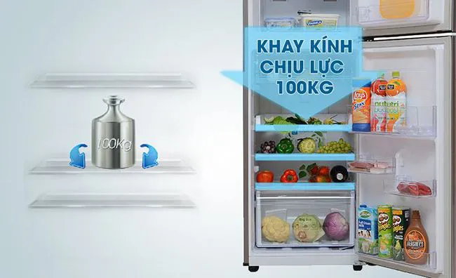 Tủ lạnh  Samsung RT22FARBDSA 234 lít Inverter