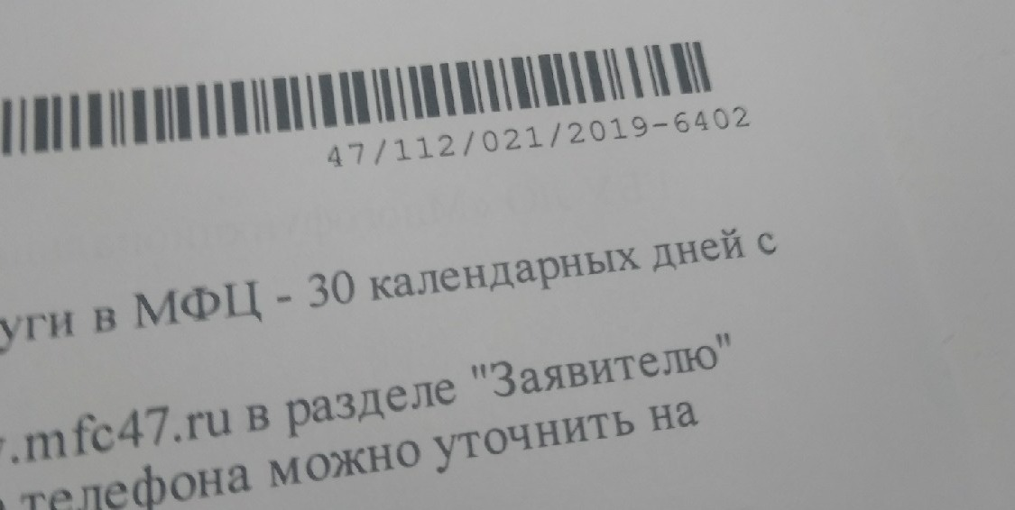 Здесь указывается список документов и что-то наподобие трек-номера заявления