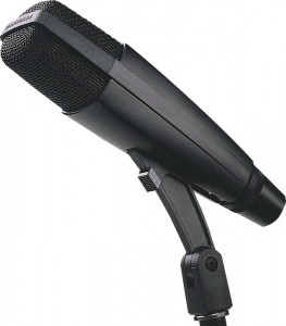 Sennheiser MD421 - vocal recording microphone