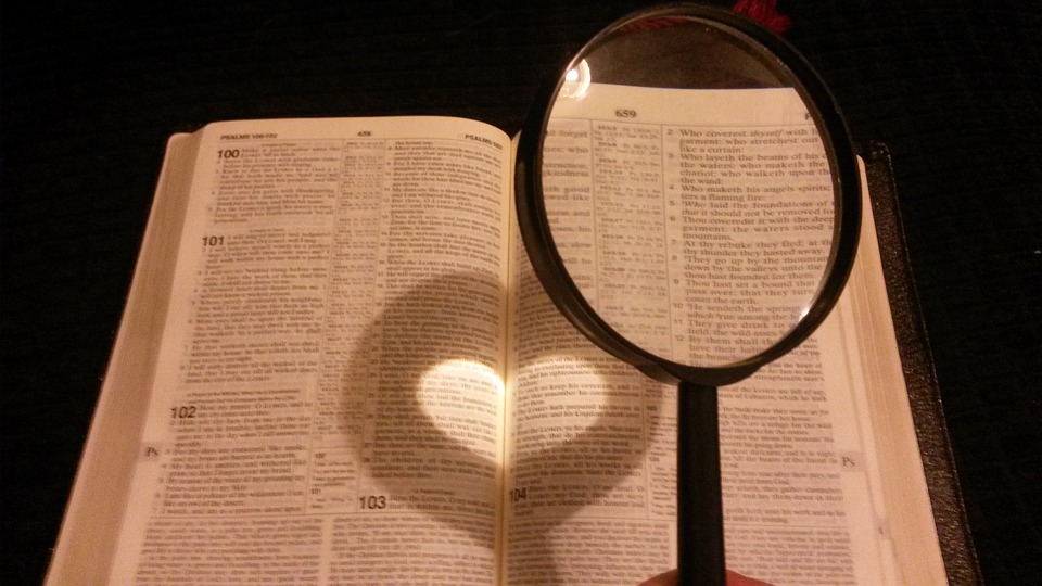 Book, Reading, Magnifying ...