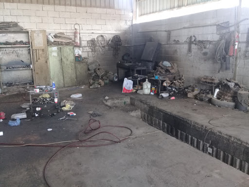 مجمع دار الربوة