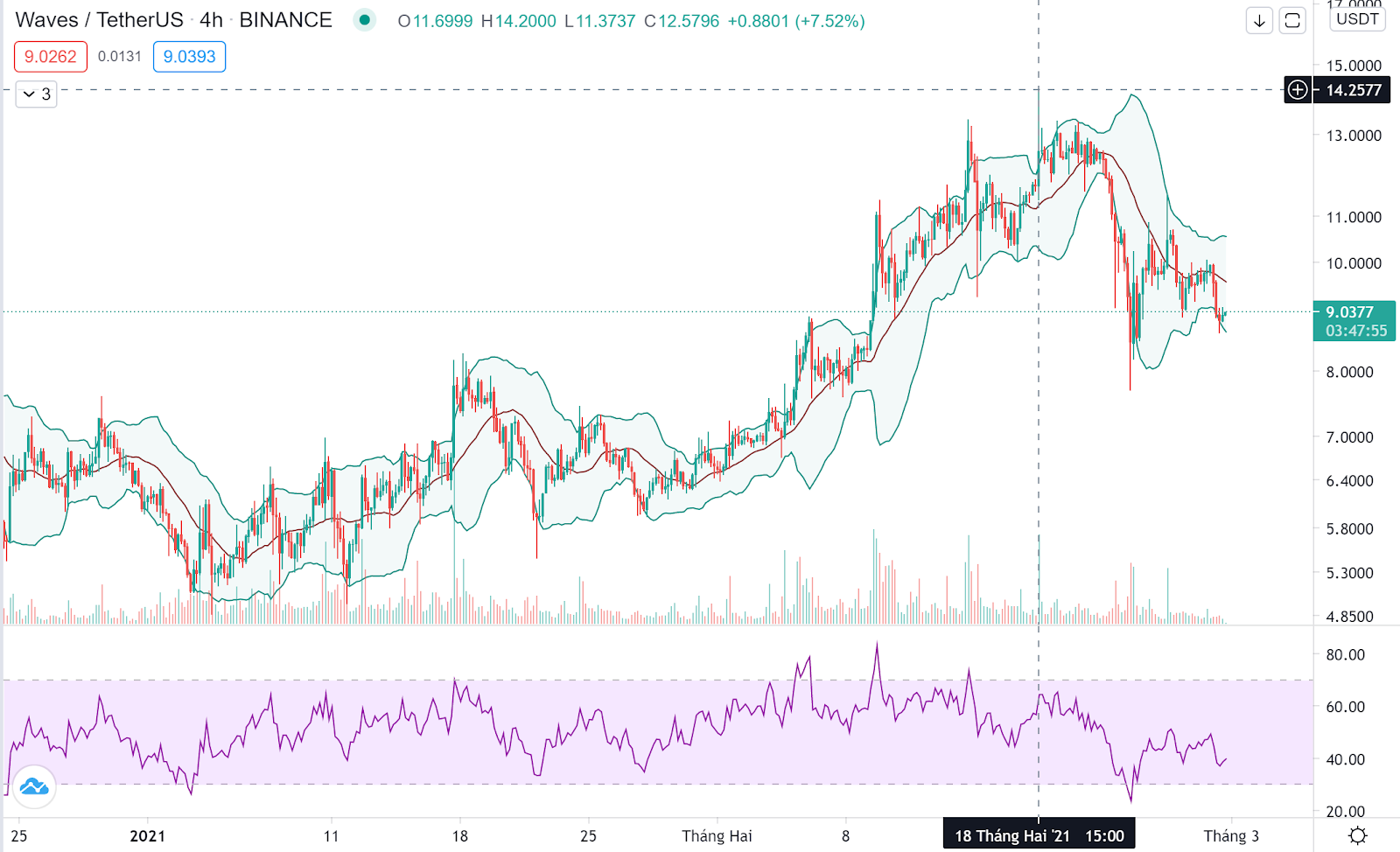 hình ảnh Token DEX tăng trưởng như thế nào từ đầu 2021?