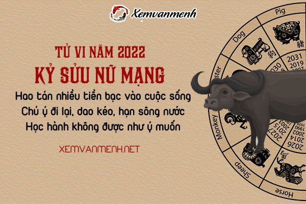 tu-vi-tuoi-ky-suu-nam-2022-nu-mang-2009