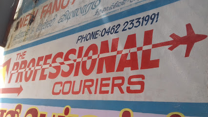 THE PROFESSIONAL COURIERS - Courier service in Tirunelveli , India