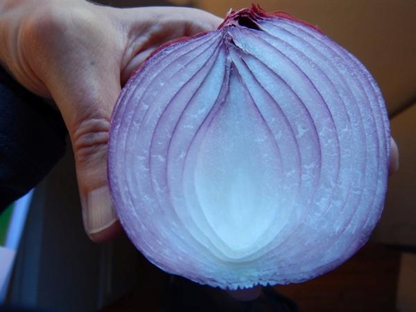 red onion 