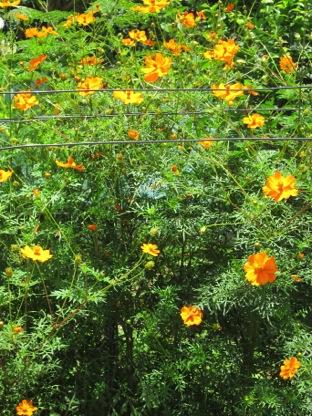 Macintosh HD:Users:clarkdavis:Pictures:photos from old pc - to be merged into main iPhoto library.photolibrary:Previews:2015:03:14:20150314-162728:qTxt3B6YQfqdHpcwhVuxyA:IMG_1229.jpg