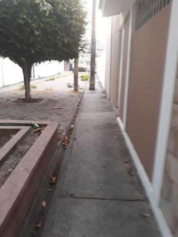 Comentarios y opiniones de Centro de Desarrollo Personal Mandala