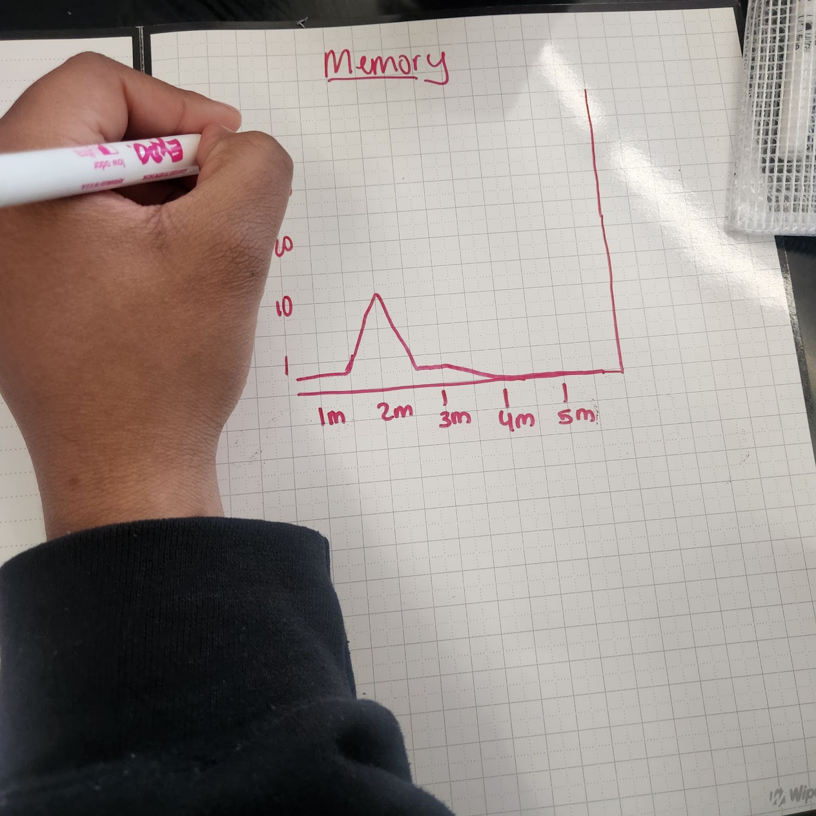 Picture shows a Wipebook Workbook used to make a graph.