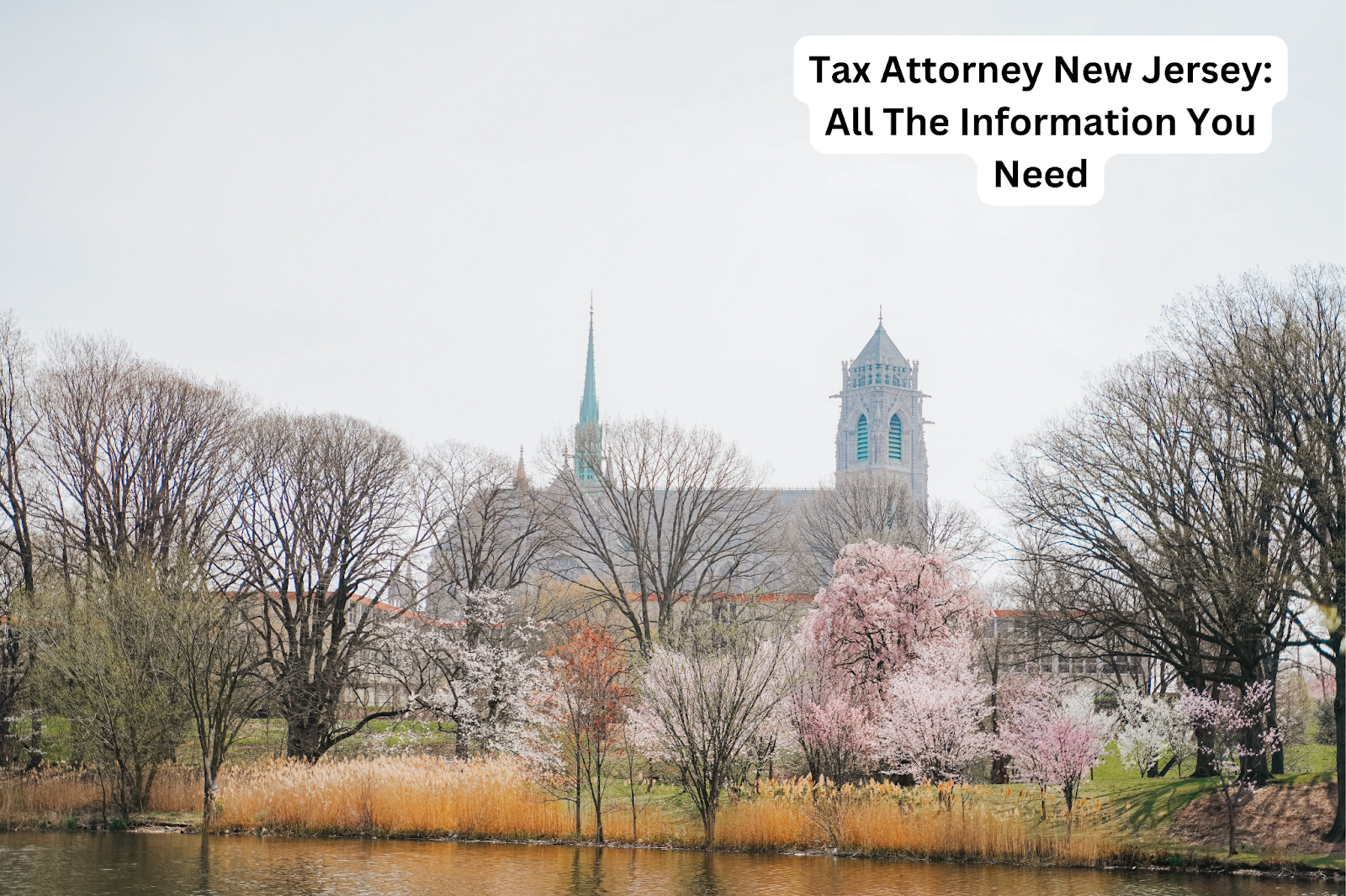 Tax Attorney New Jersey: All The Information You Need