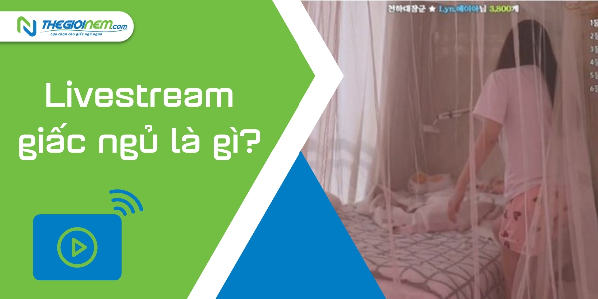 Tìm hiểu về trào lưu livestream giấc ngủ để kiếm tiền